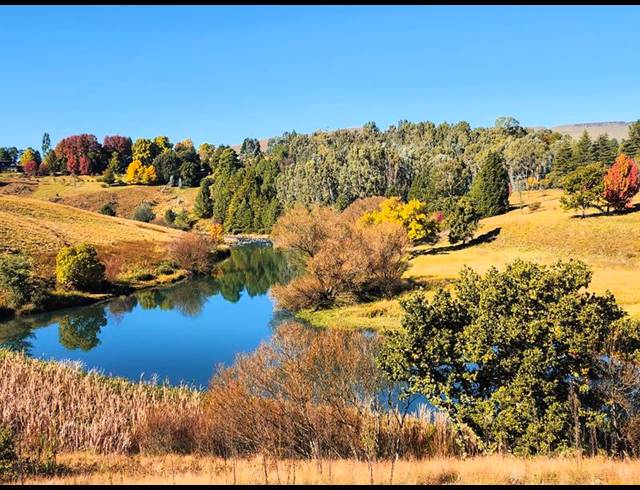 FARM FOR SALE IN UNDERBERG